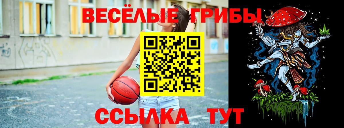 Псилоцибиновые грибы мухоморы  Вход с VPN  Лесозаводск  Псилоцибиновые грибы прущие грибы 