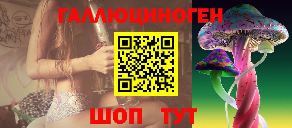 Галлюциногенные грибы Cubensis Лесозаводск