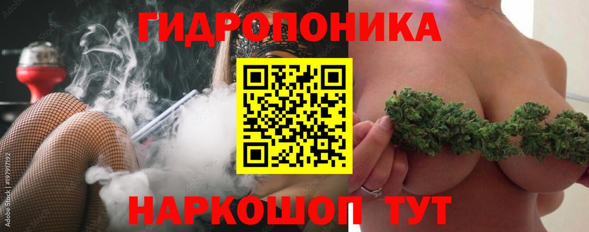 ГАШ Лесозаводск